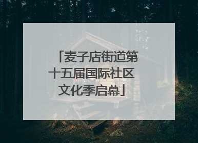 麦子店街道第十五届国际社区文化季启幕